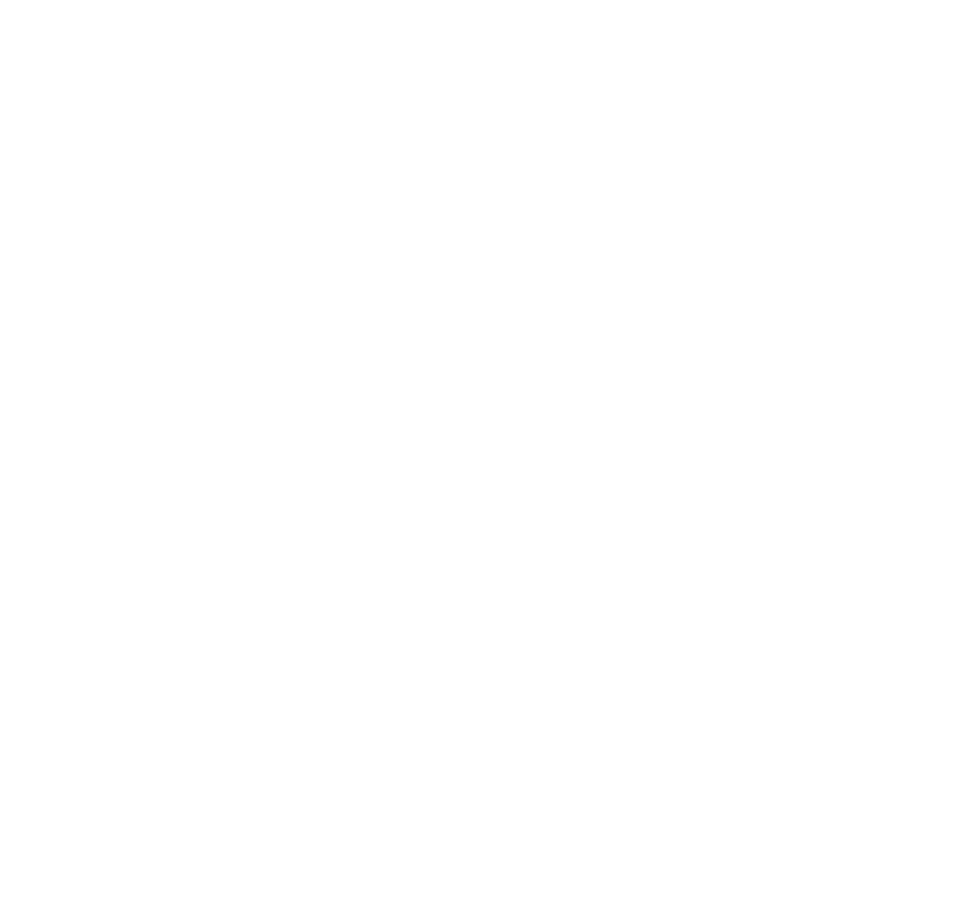 flx punchdown t shirt logo
